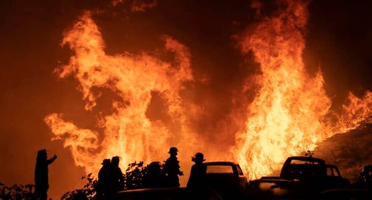Conaf confirma que incendio en Viña del Mar "es de origen humano"