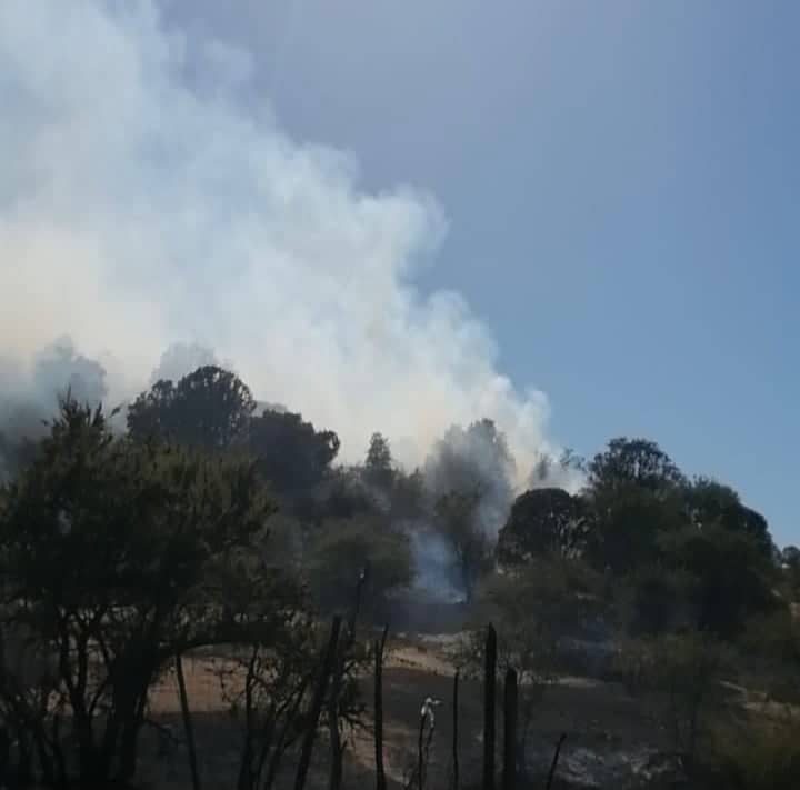 Incendio en fundo Suazo del sector La Huerta estaría contenido