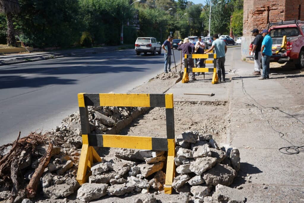 Municipalidad repara ciclovía de avenida Alessandri
