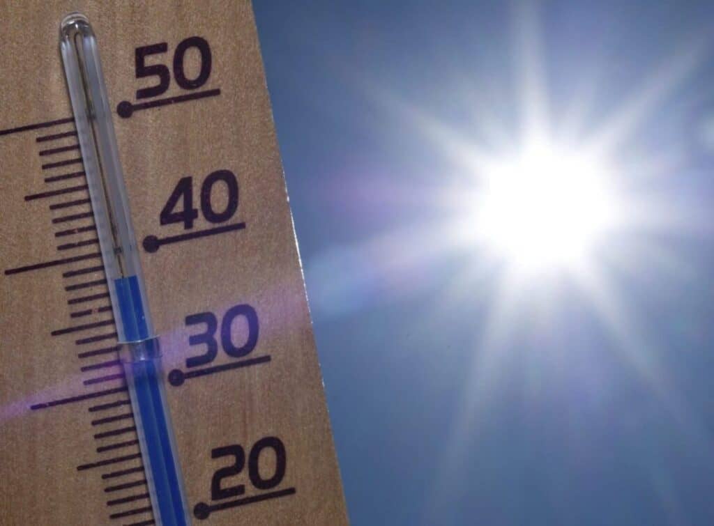 Dirección Meteorológica de Chile advierte sobre ola de calor extremo en zona centro-sur