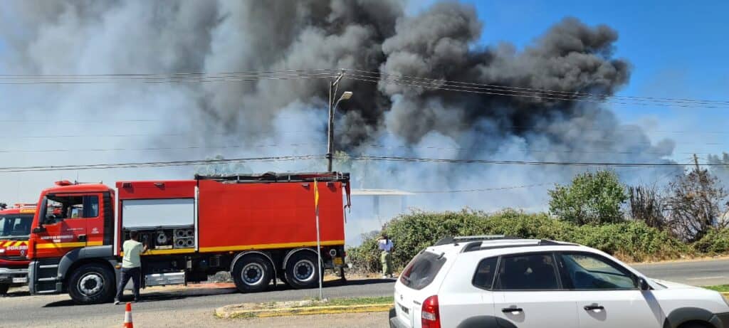 Incendio forestal afecta a sector cercano a la población Don Sebastián de Teno