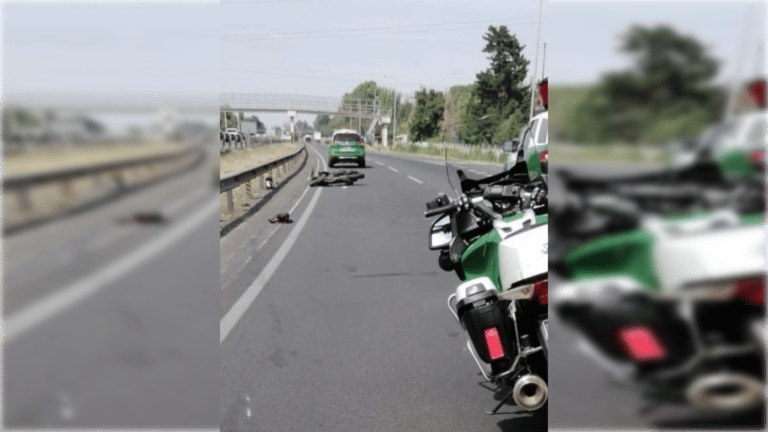 Fiscalía pide al Tribunal Constitucional rechazar requerimiento de conductor condenado por fatal siniestro vial en Molina