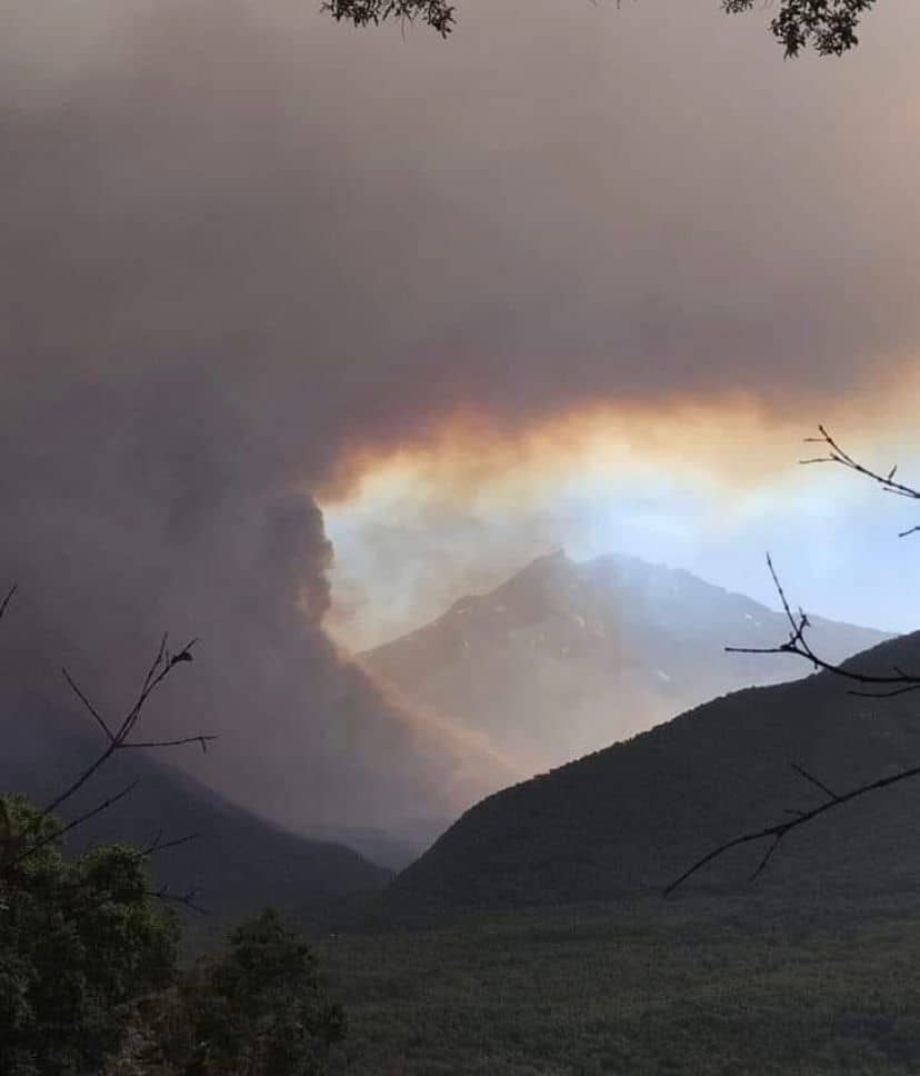 Solicitan evacuar sectores de Potrero Grande en Longaví por avance de incendios forestales