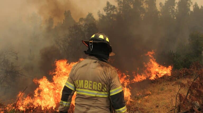Incendios forestales: ¿Quién le pone el cascabel al gato?