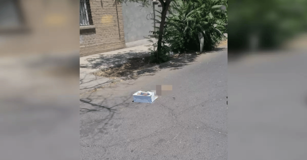 Encuentran un brazo amputado en plena vía pública