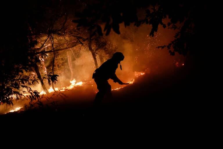 Incendio forestal en Curepto avanza sin parar: alcanzó sectores de Pencahue