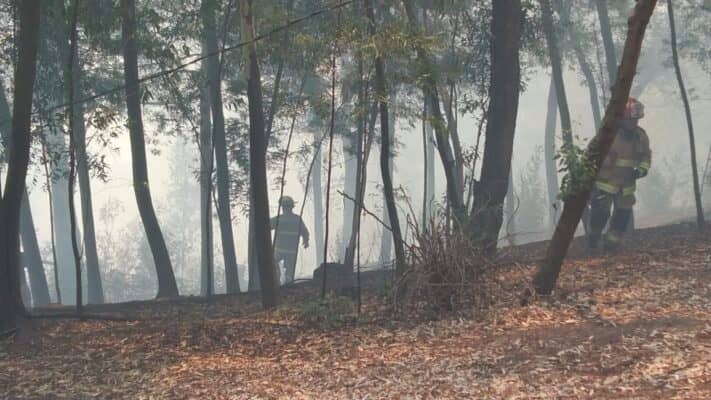 Incendio en Cerro Condell puso en peligro antenas de telecomunicaciones y radioemisoras