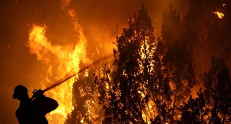 Incendios forestales: declaran estado de catástrofe en la región de Ñuble