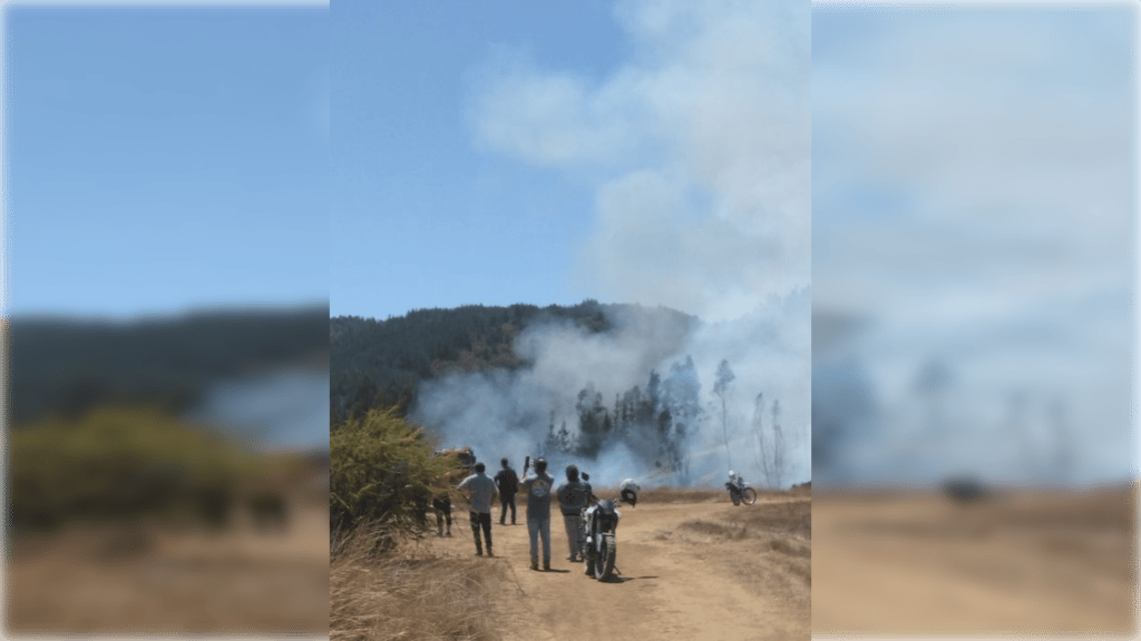 Incendio puso en riesgo varias casa en Licantén