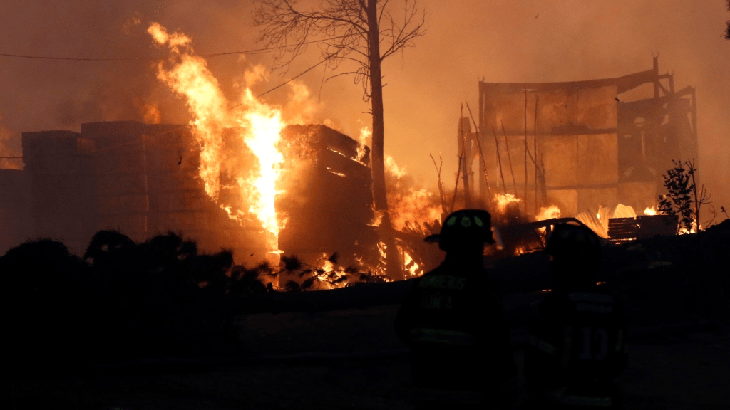 “Porque soy choro”: Detienen a un haitiano acusado de iniciar un incendio forestal