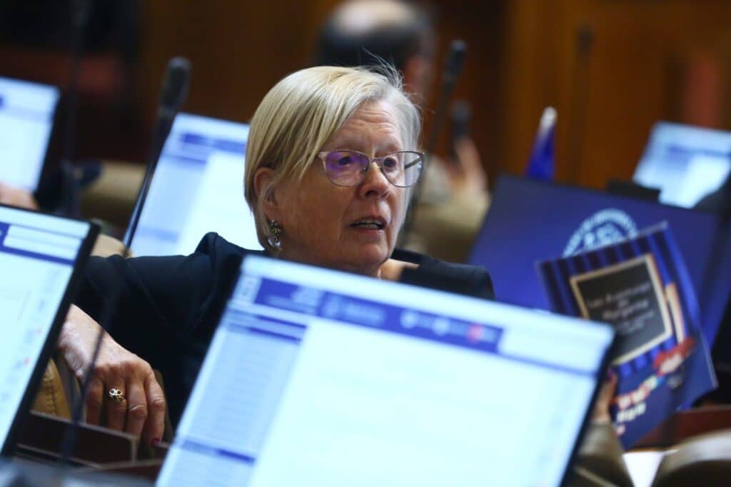 Diputada Bulnes aprueba leyes en materia de seguridad en el congreso