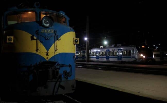 Tren de pasajeros arrolló a dos caballares frente a Curicó