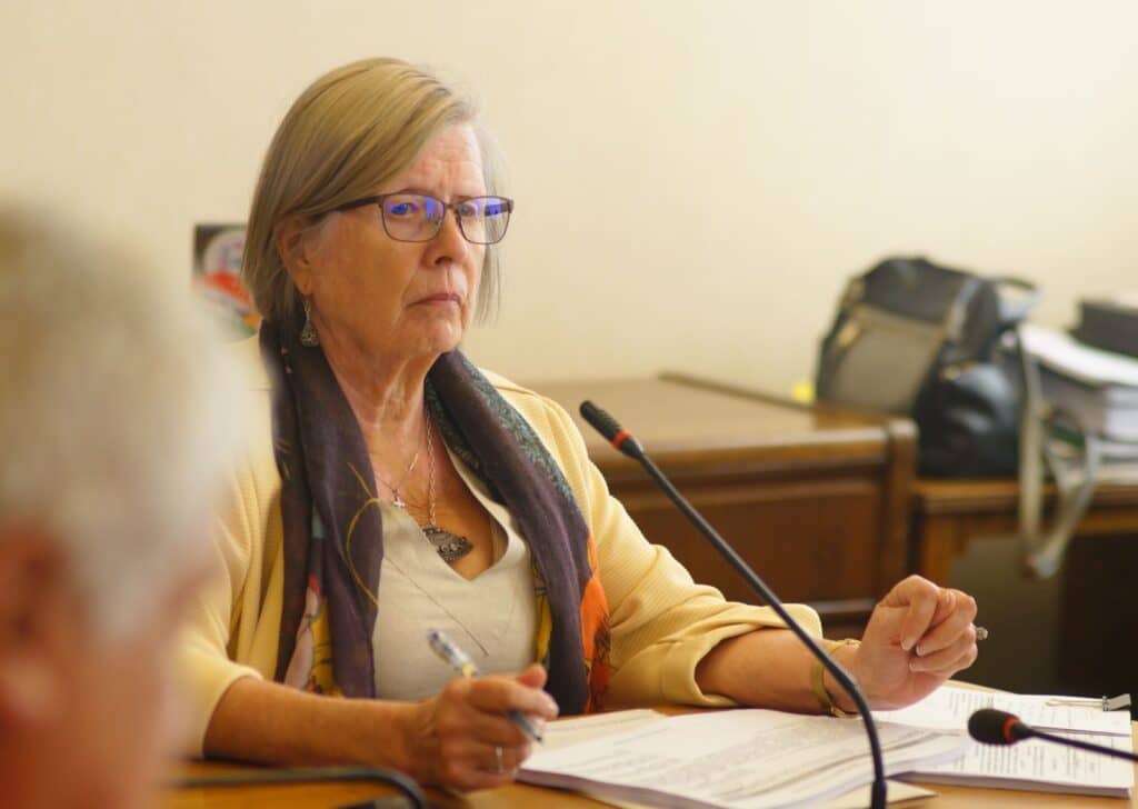 Diputada Bulnes: "La Ley Naín-Retamal no hubiera protegido a Naín ni a Retamal"