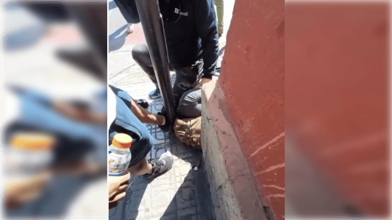 Retención ciudadana permite detener a delincuente que robó farmacia en Curicó