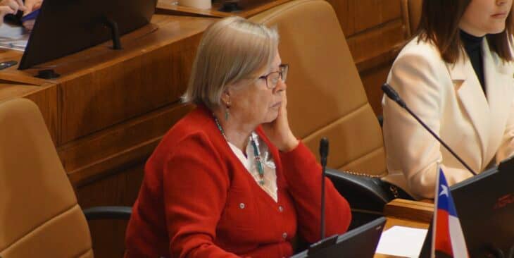 Diputada Mercedes Bulnes celebra inclusión de Talca en plan “calles sin violencia”