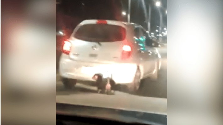"Fúname, no me importa": Captan a mujer abandonando perritos en plena calle