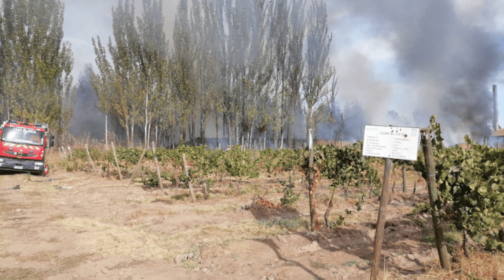 Contenido incendio forestal afectó a sitio colindante a la Escuela Agrícola en Molina