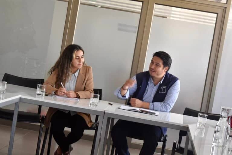 Municipio gestionará espacio para llevar caballares y bovinos que estén en la vía pública