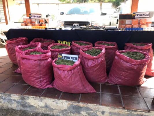 PDI incauta alrededor de 420 millones de pesos en marihuana camino al Parque Radal Siete Tazas