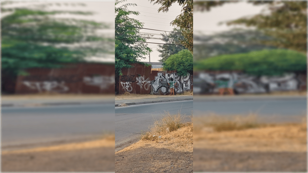 Vecinos denuncian toma de terreno en sector Maule Abajo de Curicó