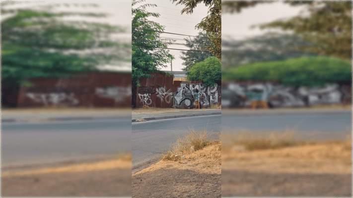 Vecinos denuncian toma de terreno en sector Maule Abajo de Curicó