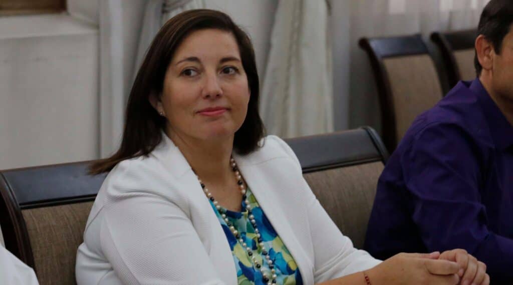 Paulina Vodanovic (PS) reemplazará a Álvaro Elizalde en el Senado