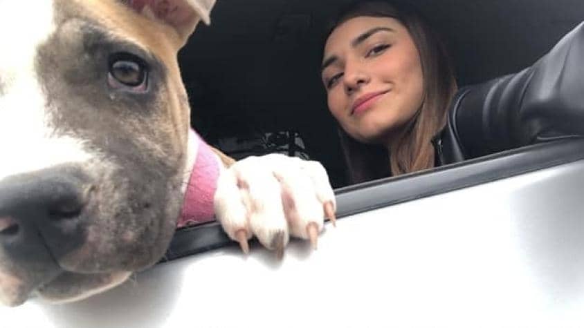Perrita murió de pena 2 días después que su dueña: "No aguantó tanta tristeza"