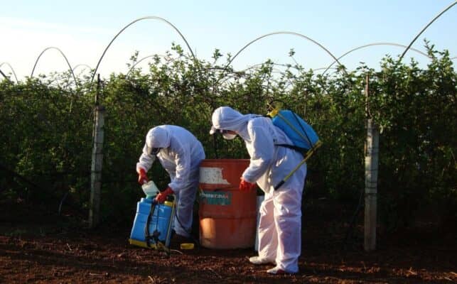 Amplían detención de hombre detenido por robo de agroquímicos en Molina