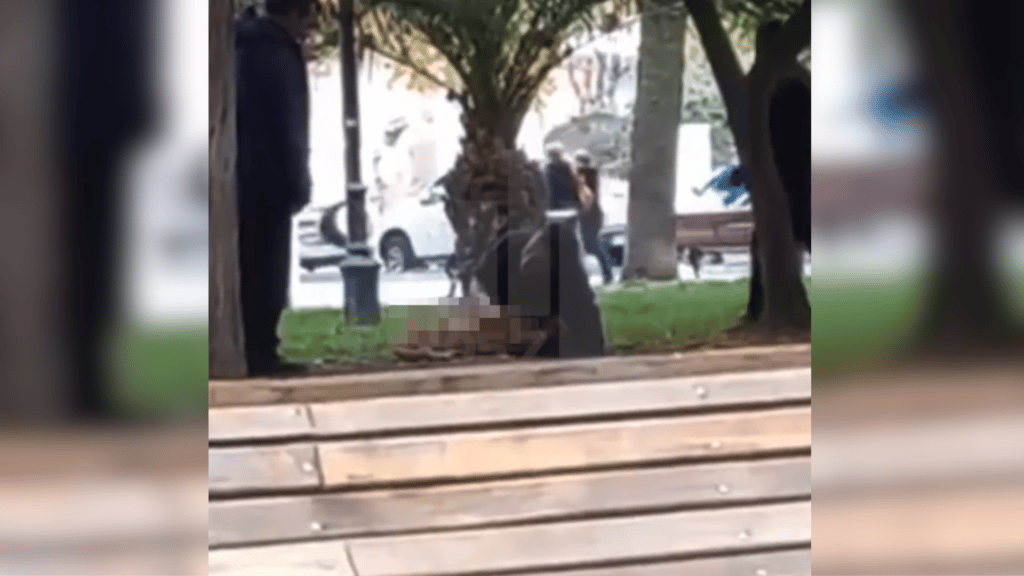 Hombre que abusó sexualmente de un perro callejero será denunciado por zoofilia