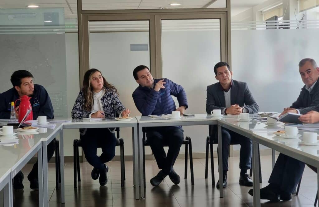 Autoridades de Curicó acuerdan medidas para evitar presencia de caballares y bovinos en la vía pública