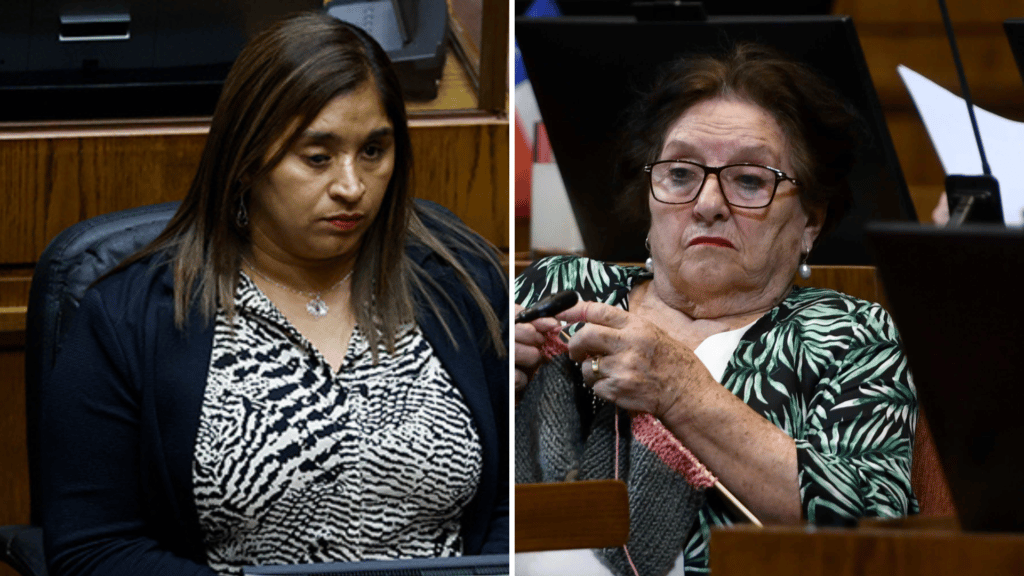 Corte de Apelaciones acoge desafuero de diputada Cordero tras querella de senadora Campillai