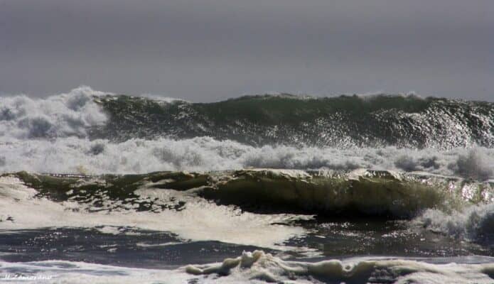 Tsunami de Kamchatka: Costa del Maule registra la mayor amplitud del país con 2.5 metros en Boyeruca