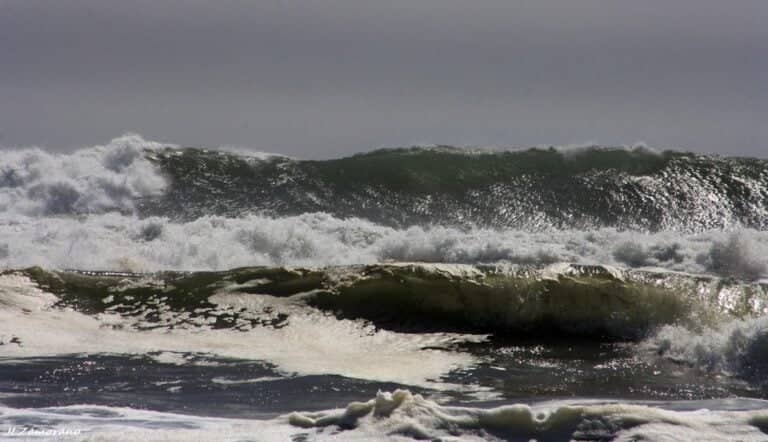 Tsunami de Kamchatka: Costa del Maule registra la mayor amplitud del país con 2.5 metros en Boyeruca