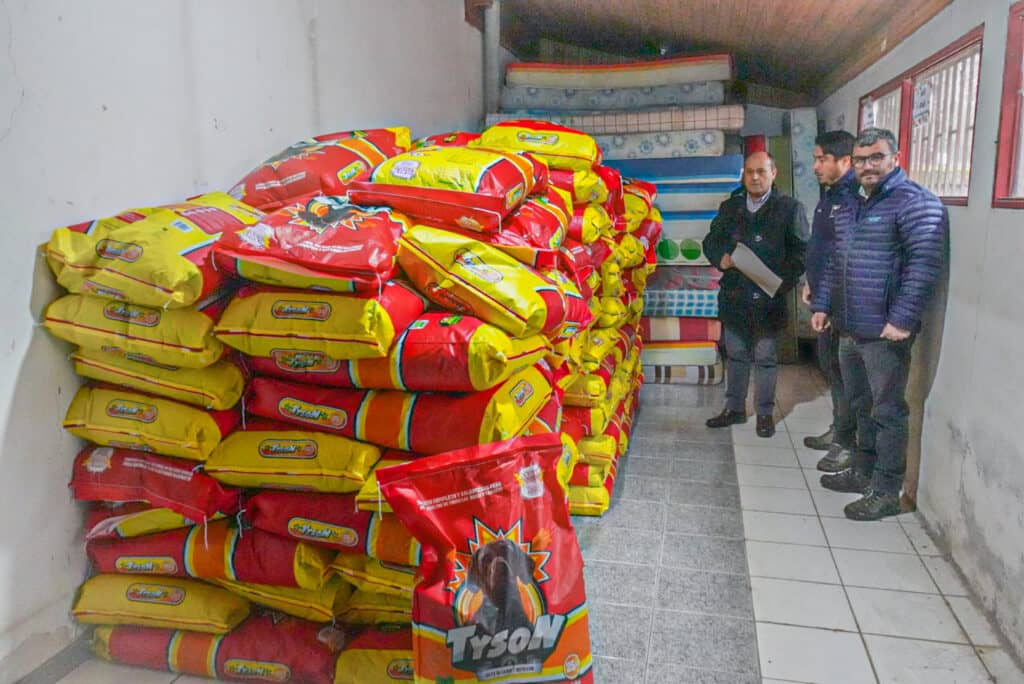 Senapred envió a Curicó alimento para perros destinado a mascotas de familias afectadas por inundación