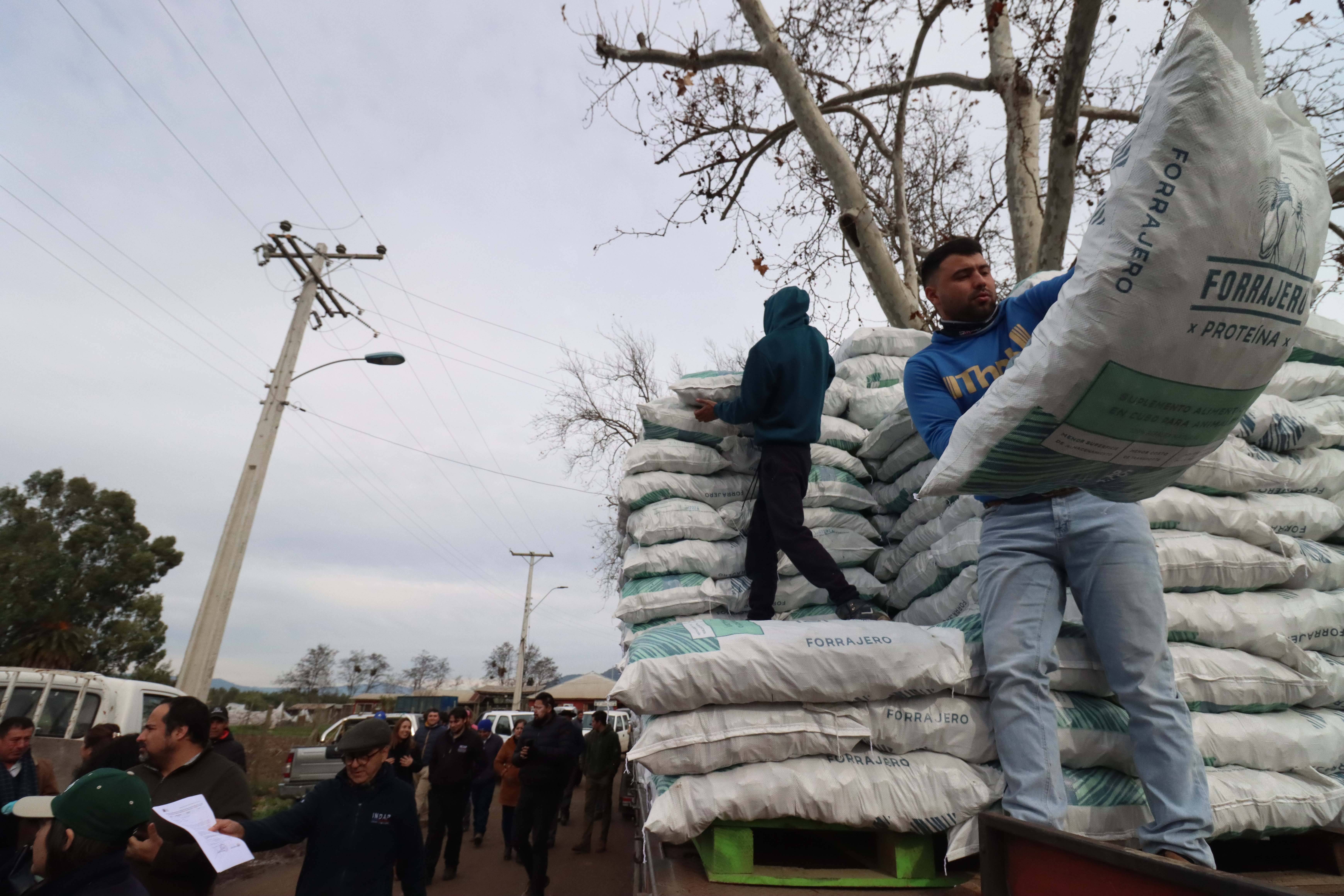 Seremi de Agricultura entregó más de mil sacos de alimento para animales en Rauco