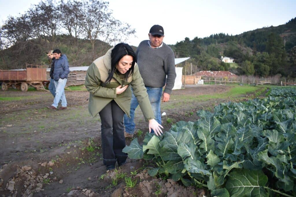 Gobernadora Regional del Maule se reunió con agricultores afectados por temporal en Curepto