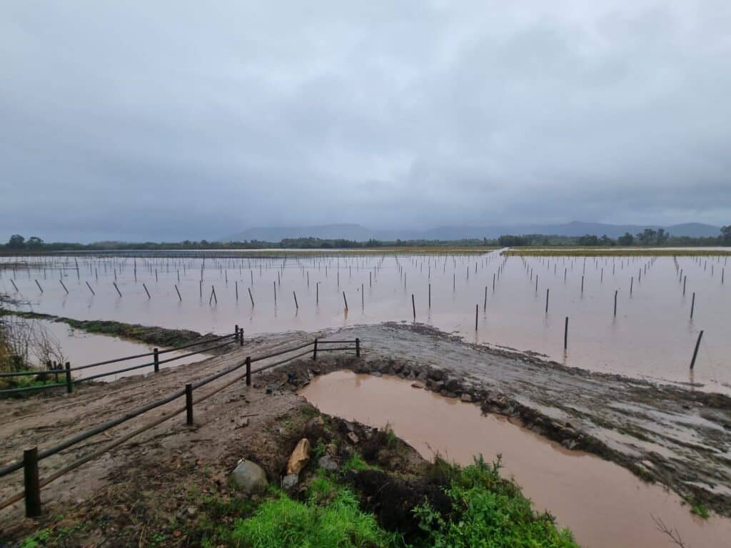 Director regional de Senapred anticipa posible desborde de ríos del Maule y llama a la precaución