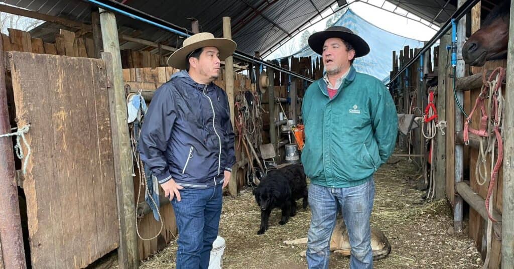 Criadores reciben respaldo ante daños causados por temporal en Curicó