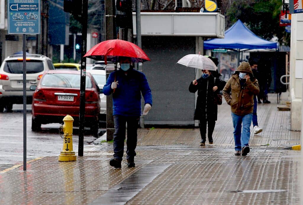 Delegación Provincial Presidencial de Curicó emitió positivo balance tras últimas lluvias
