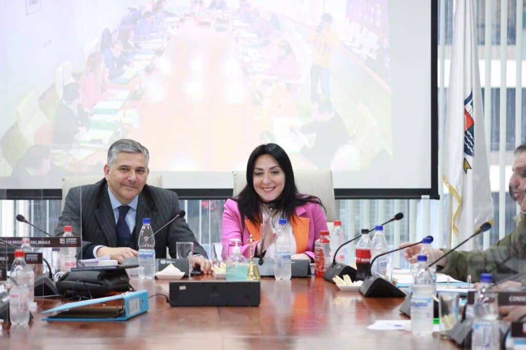 Consejo Regional del Maule aprobó $1.200 millones para emprendedores Fosis afectados por sistema frontal