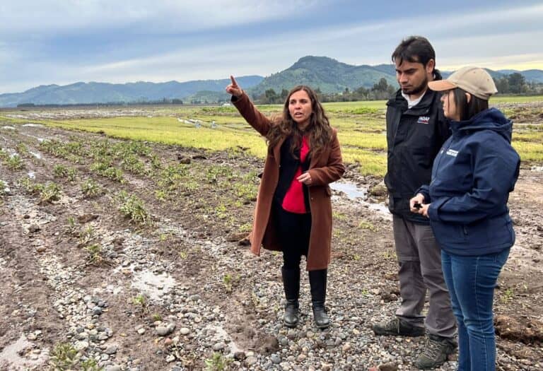 Alcaldesa de Hualañé destacó trabajo de agricultores y anticipó difícil temporada de cosecha