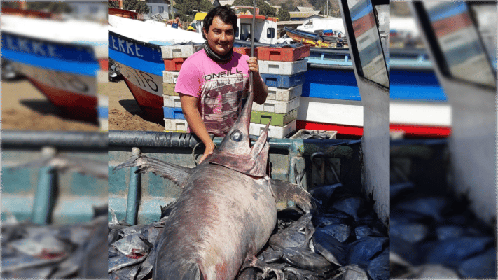 Joven pescador de Iloca sufre accidente que lo mantiene grave en el Hospital de Curicó