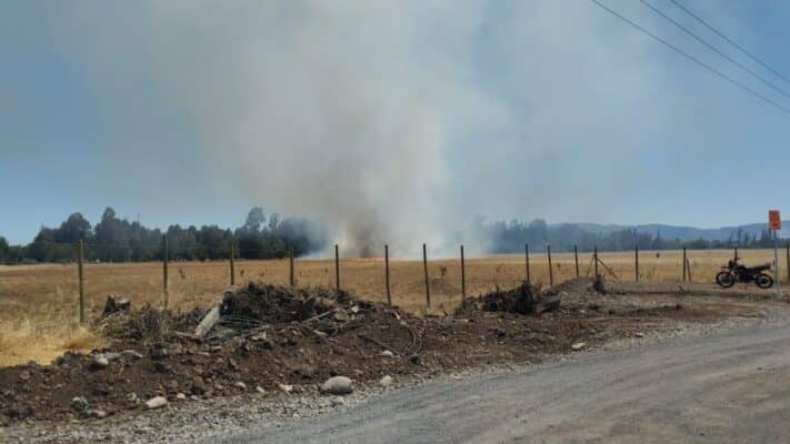 Incendios de características forestales movilizan a CONAF y Bomberos en Curicó