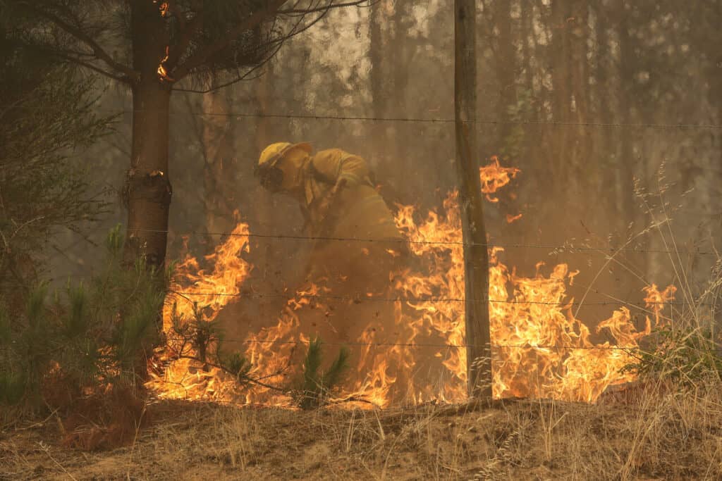 Conaf activa botón rojo para el Maule y O'Higgins antes altas temperaturas y riesgo de incendios