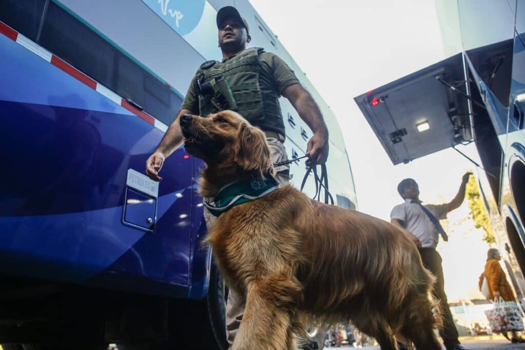 Conductor de bus con destino a la región de O'Higgins dio positivo a cocaína en fiscalización