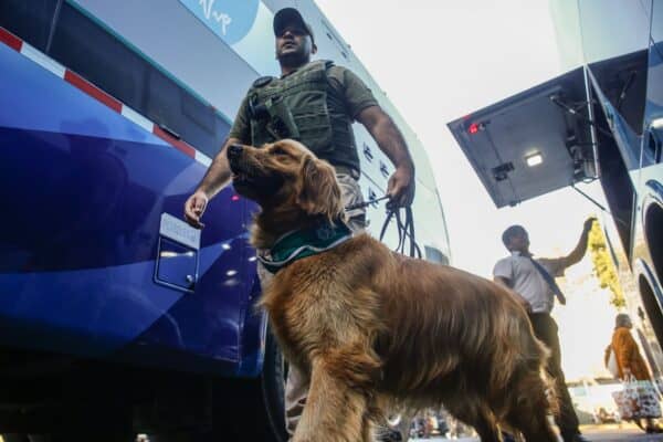 Conductor de bus con destino a la región de O'Higgins dio positivo a cocaína en fiscalización