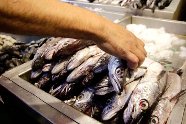 Una nueva alza en la canasta familiar afecta el bolsillo de los chilenos