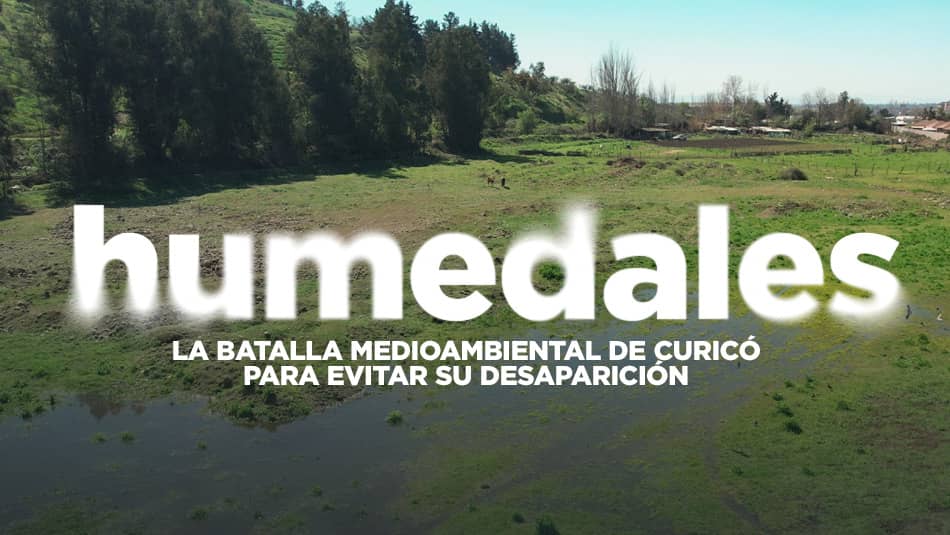 La batalla medioambiental de Curicó