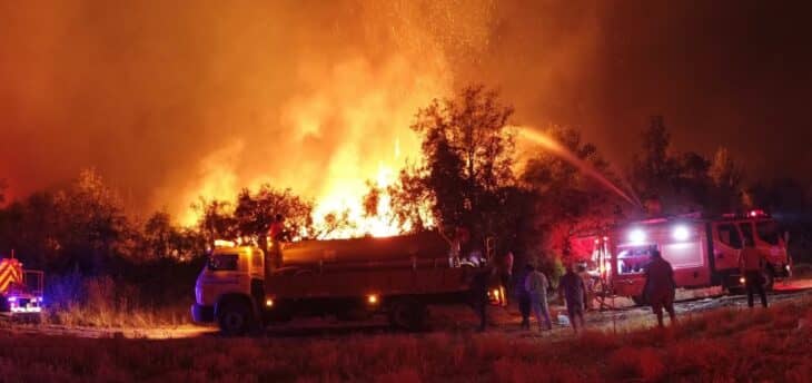 Vecinos de El Radal de Molina recibieron vales de gas donados por empresa que ganó juicio contra cuadrilla que provocó incendios forestales
