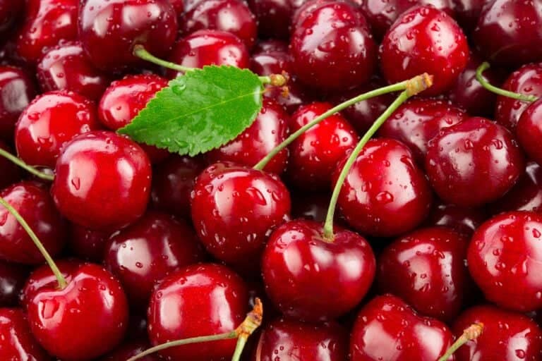 Brasil destruye más de una tonelada de cerezas chilenas por plaga